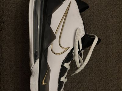 Nike Lebron 17