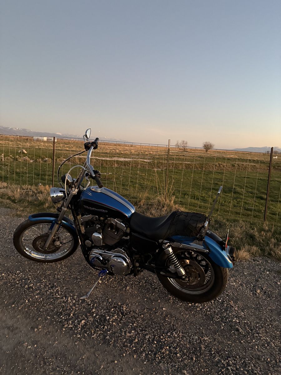 3004 Sportster custom 1200