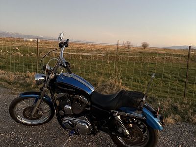 3004 Sportster custom 1200