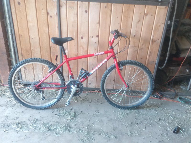 MT Shasta Saddleback 24" Mountain Bike – Fully Serviced