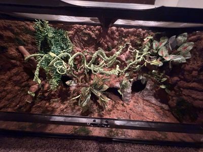 Custom reptile encloures