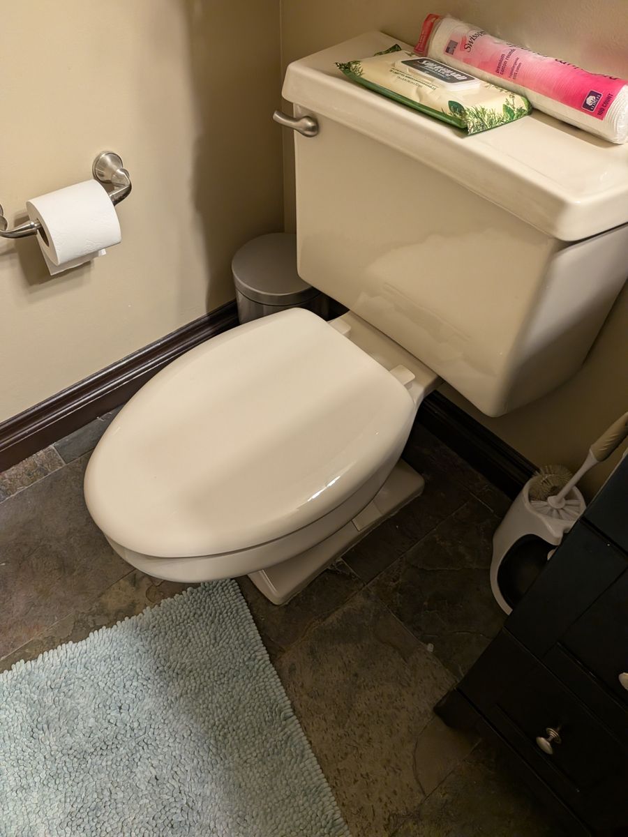 Standard Elongated Two-Piece Toilet - Biscuit/Bone Finish