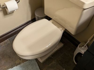 Standard Elongated Two-Piece Toilet - Biscuit/Bone Finish