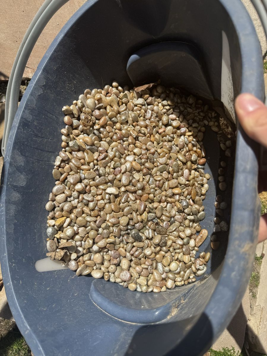 Shiny aquarium gravel