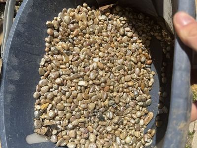 Shiny aquarium gravel