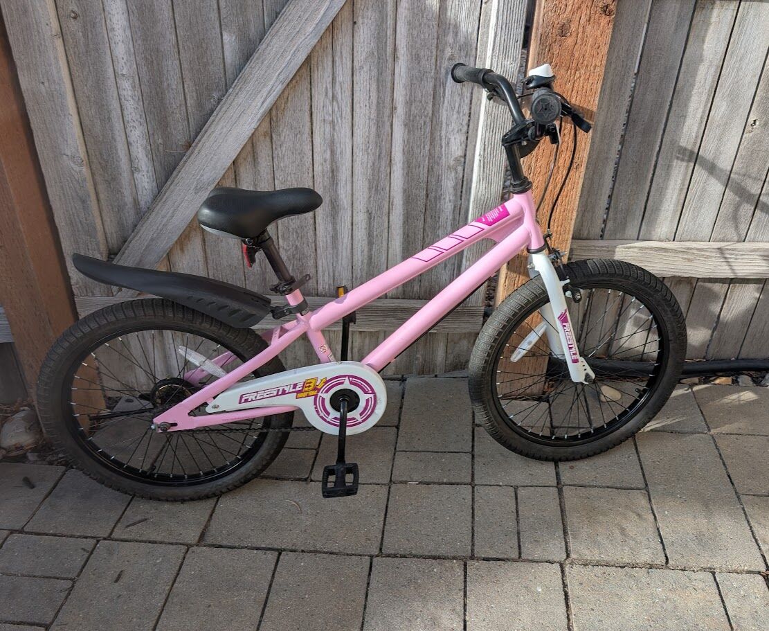 RoyalBaby 20" Kids Bike