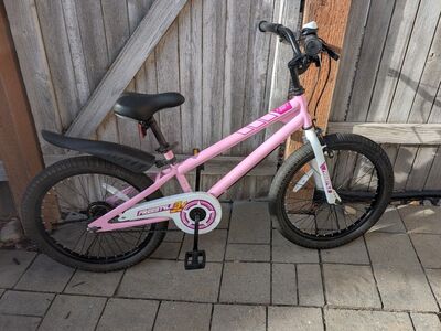 RoyalBaby 20" Kids Bike