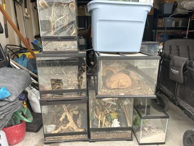 Various Tanks Terrariums Vivariums