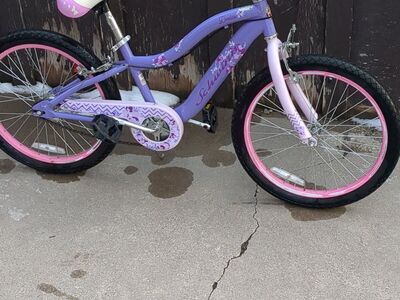 Schwinn Deelite 20" girls bike