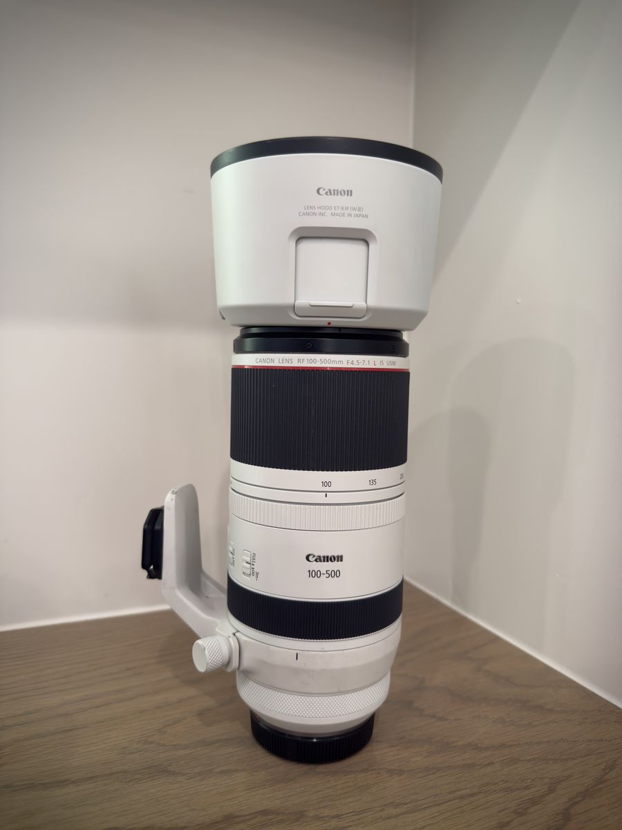 Canon RF 100-500mm F4.5-7.1 L IS USM Telephoto Zoom Lens