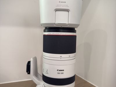 Canon RF 100-500mm F4.5-7.1 L IS USM Telephoto Zoom Lens