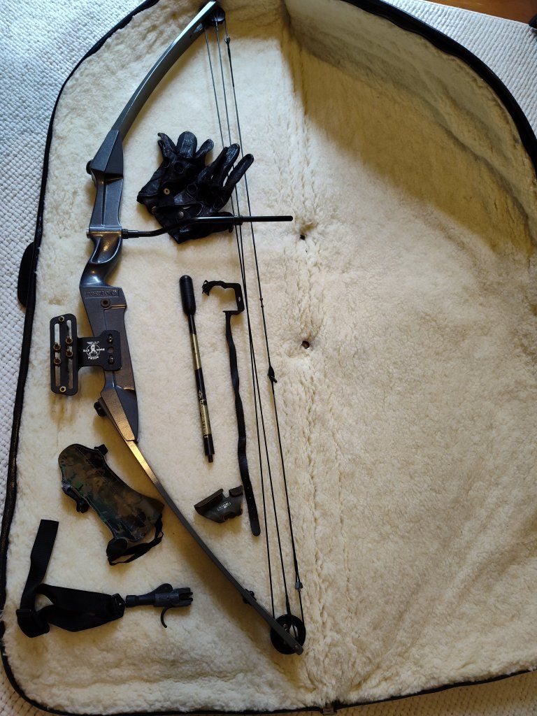 Hoyt Spectra compound bow