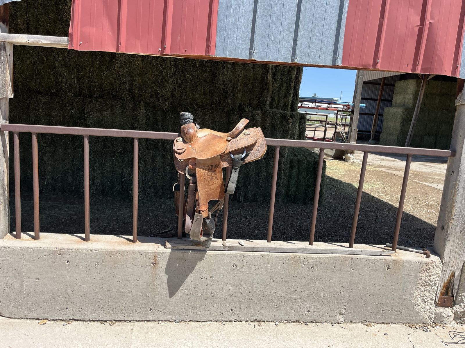 Stray star roping saddle.