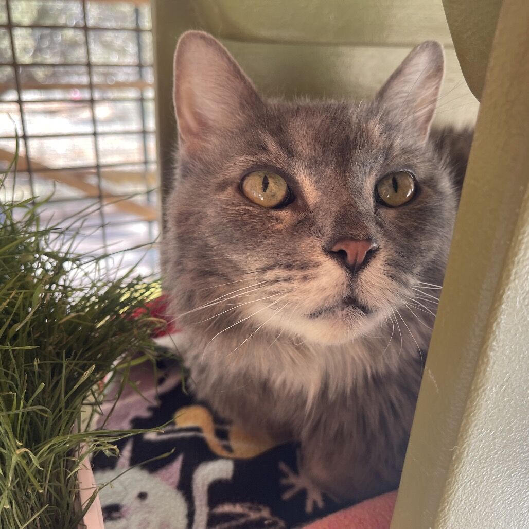 Hello my name is Wynn