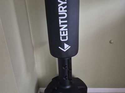 Punching bag/gloves