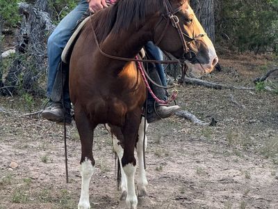 Cute Mare