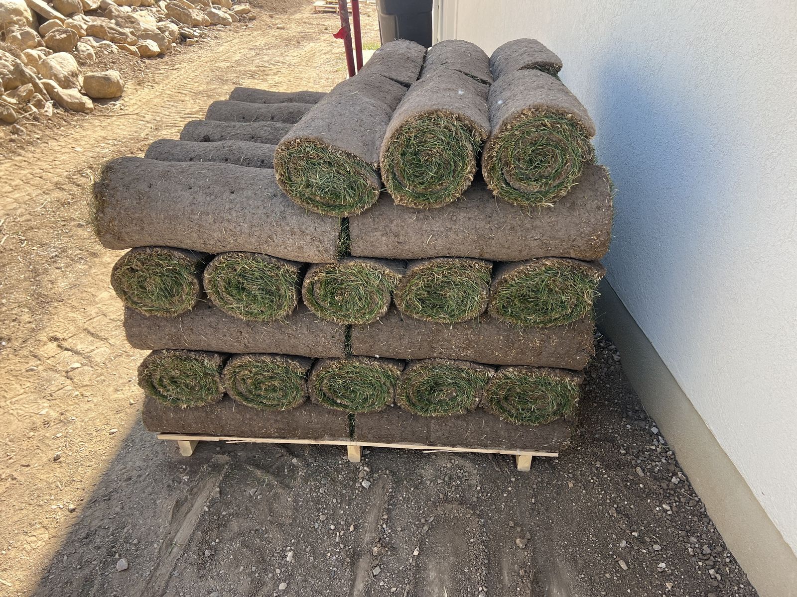Fresh sod