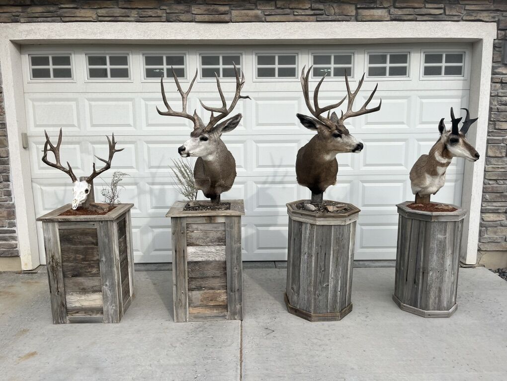 Barn Wood Taxidermy Pedestals