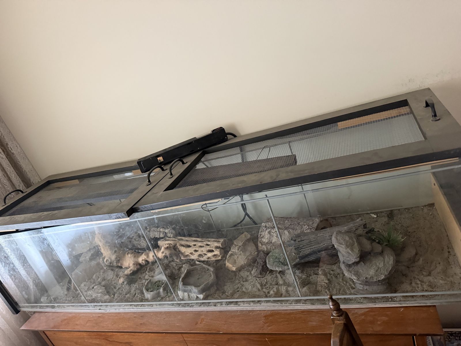Large Reptile Terrarium/Aquarium with Custom Screen Top - Includes Decor and Heat Lamp Setup