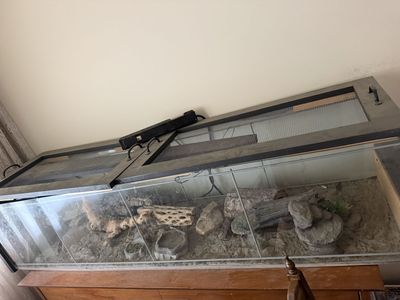 Large Reptile Terrarium/Aquarium with Custom Screen Top - Includes Decor and Heat Lamp Setup