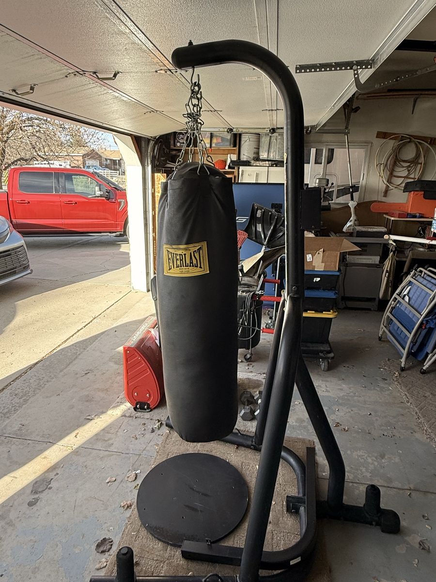 Everlast Punching Bag With Stand