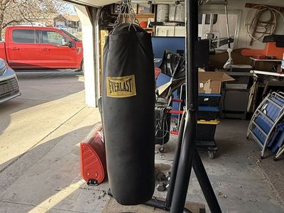 Everlast Punching Bag With Stand