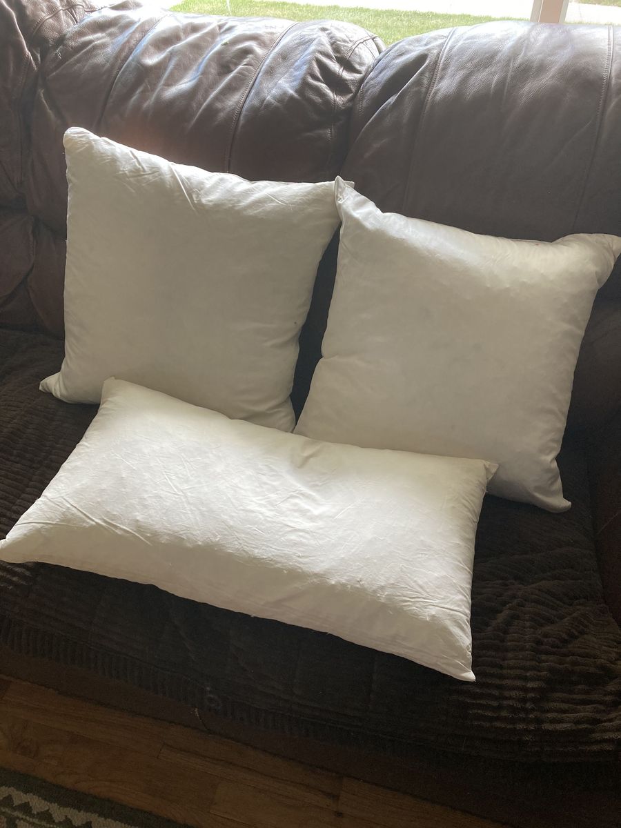 Down Feather Throw Pillow Inserts (20 x 20and 14x26)