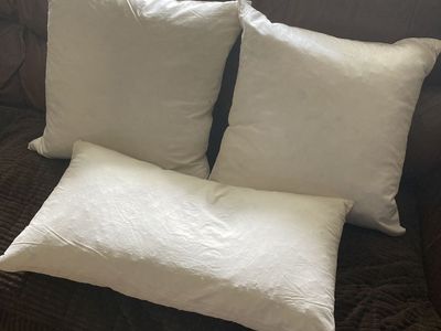 Down Feather Throw Pillow Inserts (20 x 20and 14x26)