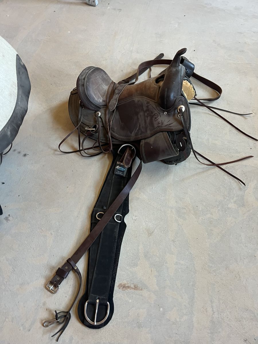 Main image 4