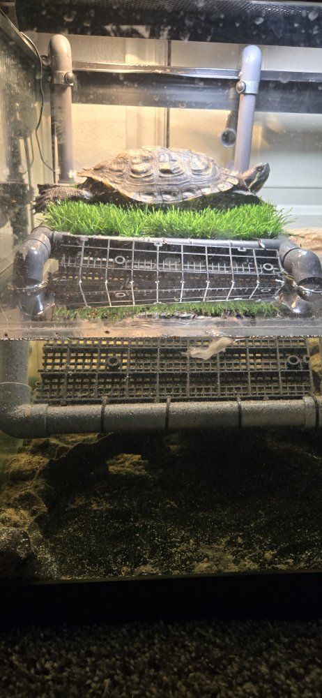 Large Turtle Tank & Habitat, Filter, Heating Lamps - Complete Setup