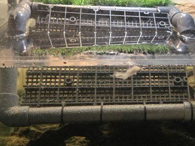 Large Turtle Tank & Habitat, Filter, Heating Lamps - Complete Setup