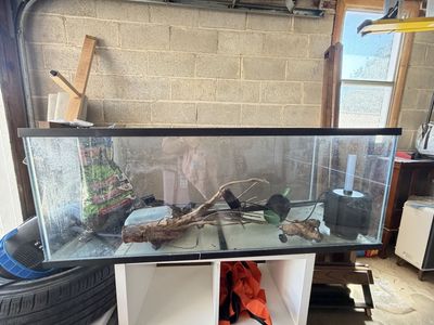 60 Gallon Aquarium Tank