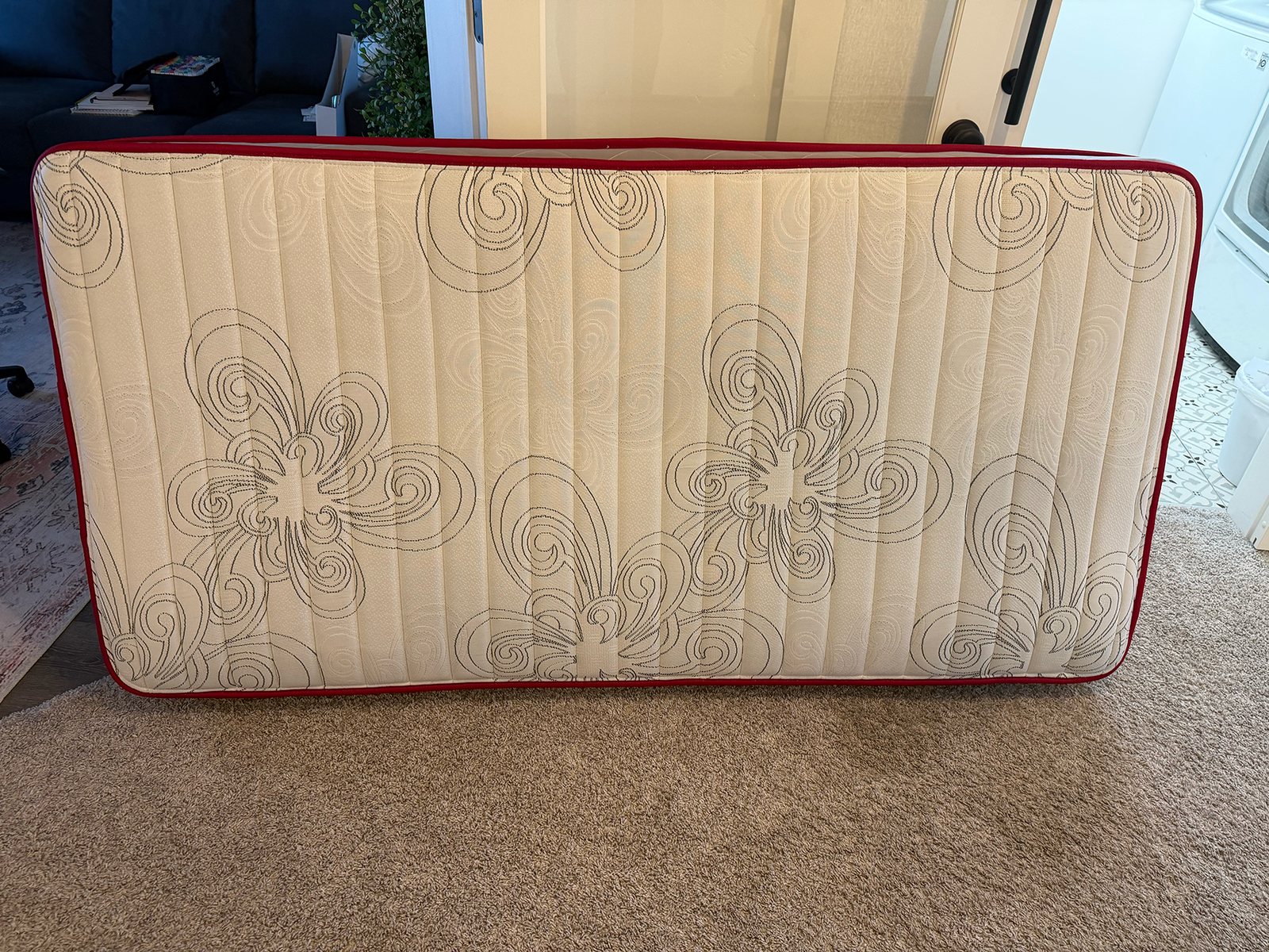 FREE Twin Mattress