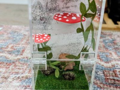 Jumping spider enclosure WITH spider