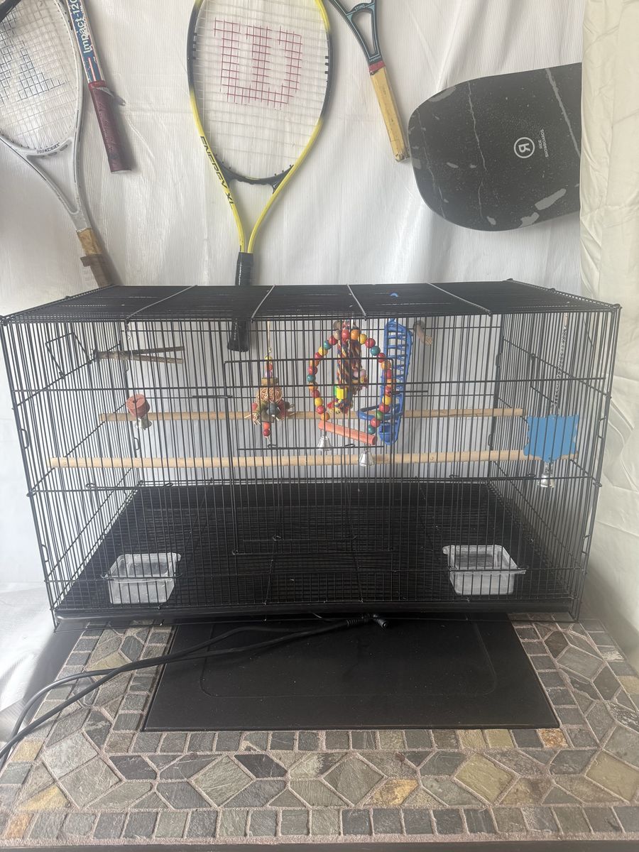 Bird cage
