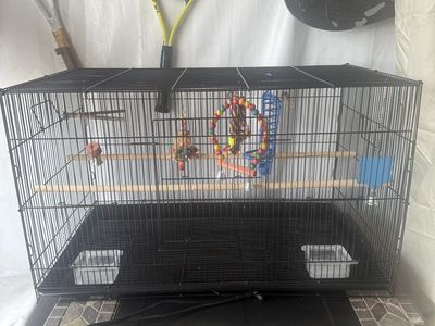 Bird cage