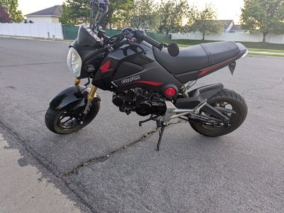 2015 Honda Grom Motorcycle
