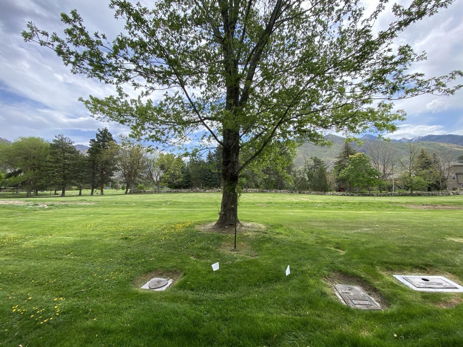 Memorial Mountain View Cemetery Burial Plots for Sale