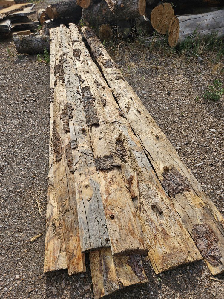 intentional first cuts,  live log rounds