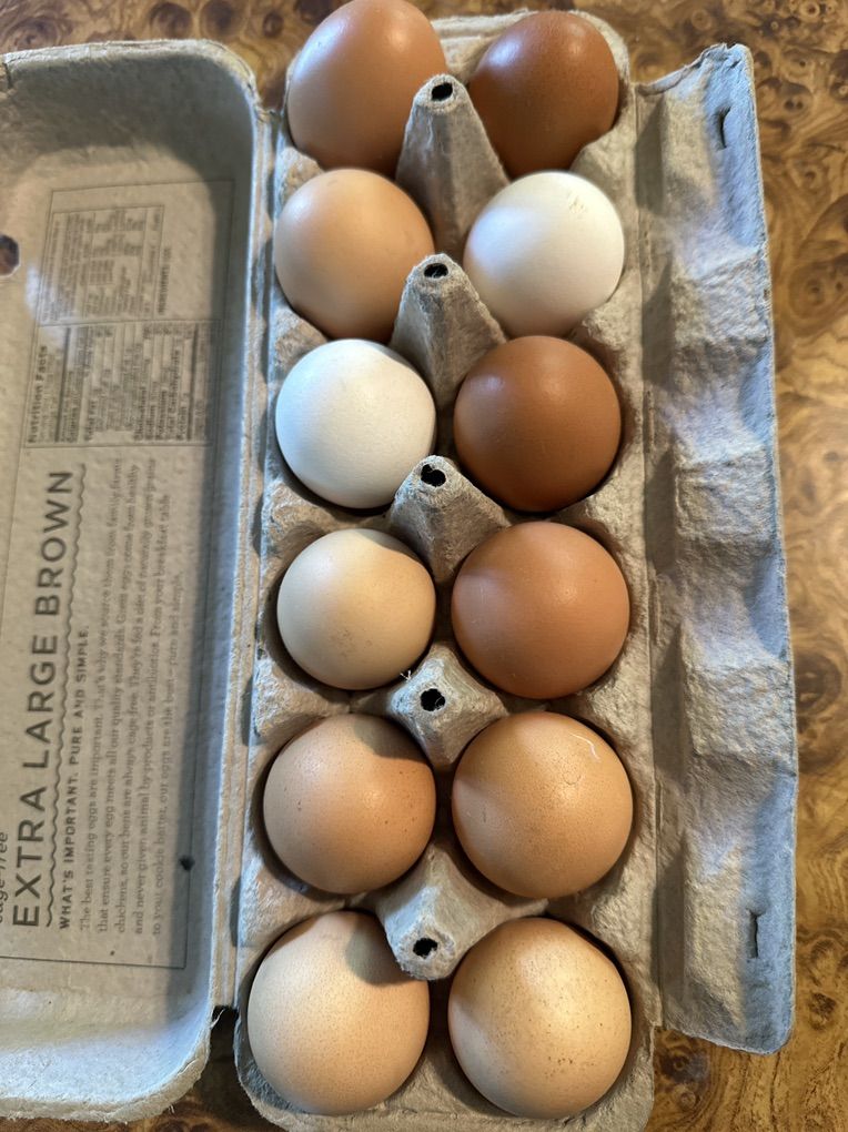 Eggs From Free Chickens