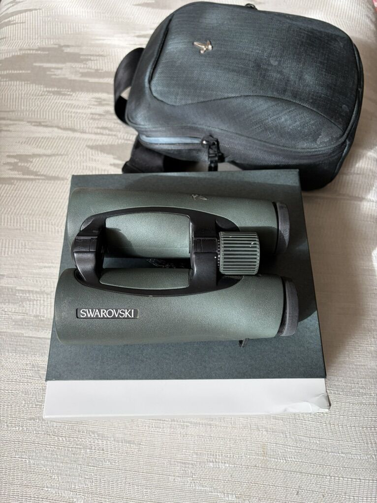 Swarovski 10x42 binos