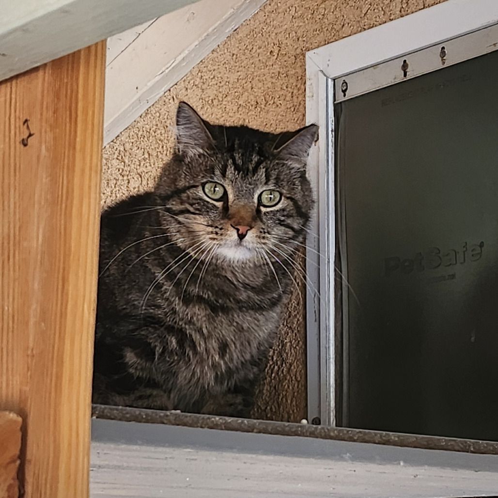 Hello my name is Moondoggie