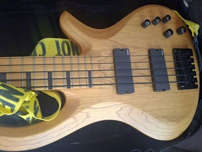 bass 5 strings