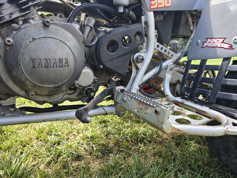 Main image 7