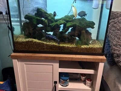 29 Gallon Cichlid Fish Tank And Supplies