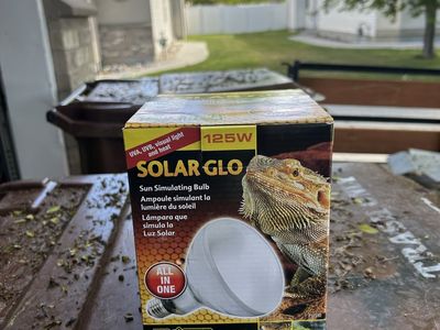 Exo Terra solar glo