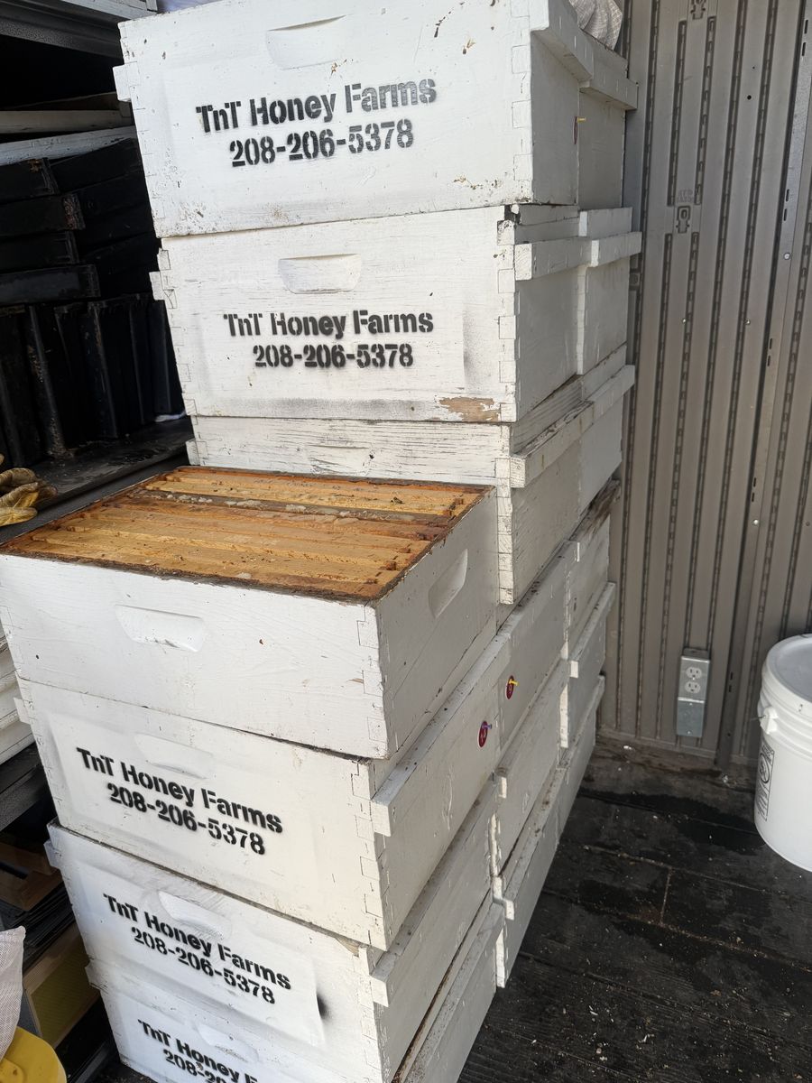8 Frame Beehive Boxes Equipment