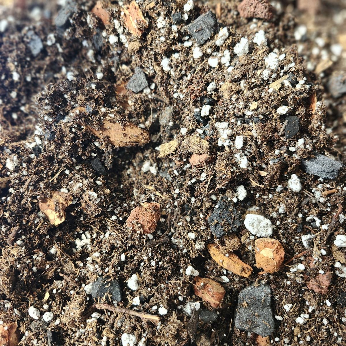 Chunky Aroid Soil Mix – Hand Blended