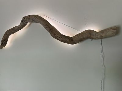 Driftwood light fixture