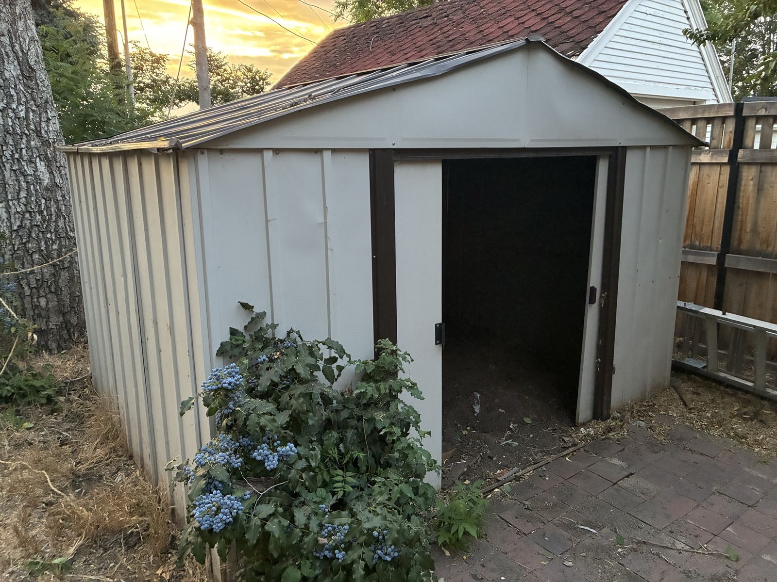 Metal shed